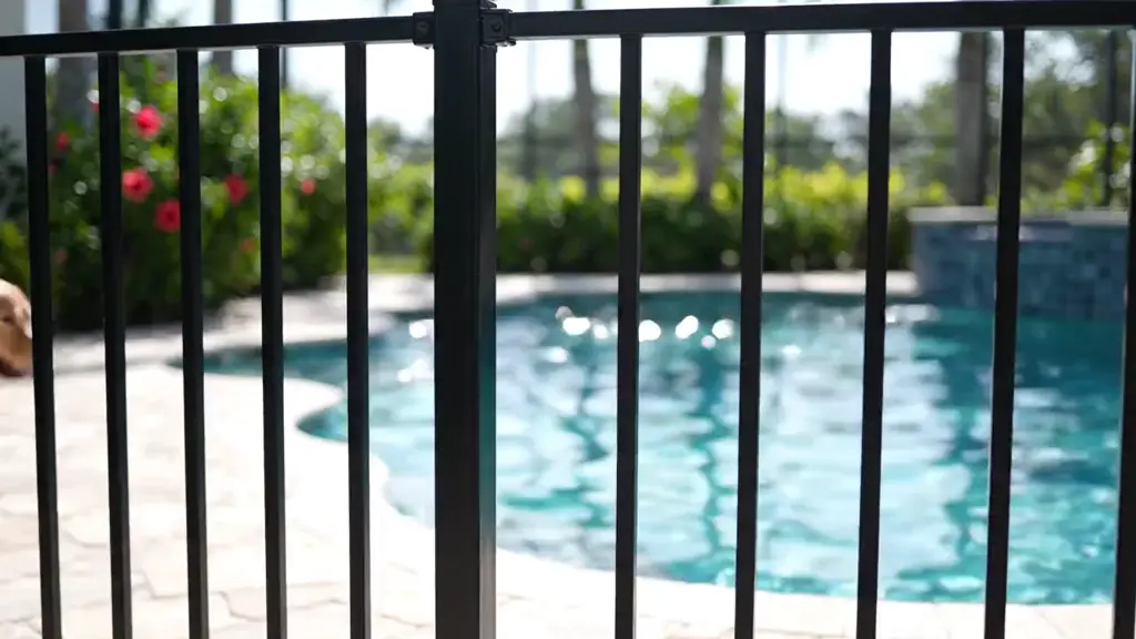 A black aluminum picket fence enclosing a Florida pool area.